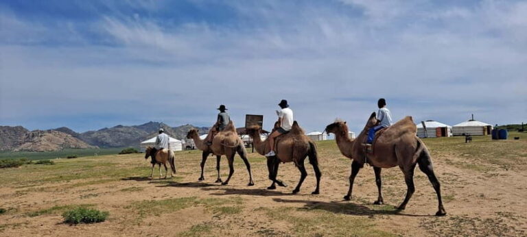 Mongolia: Mini Gobi, Orkhon, and Kharkhorin 4 Day Tour - Practicalities and Value