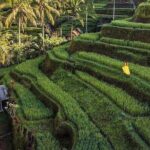 Monkey Forest, Holy Water Temple & Hot Springs Tours - Practical Tips for a Smooth Experience