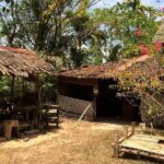 Monsopiad Cultural Village Visit with Private Transfer from Kota Kinabalu - Who Should Consider This Tour?