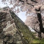 Morioka Town Half Day Walking Shared Tour with Wanko -Soba - Exploring Morioka in Depth: What to Expect