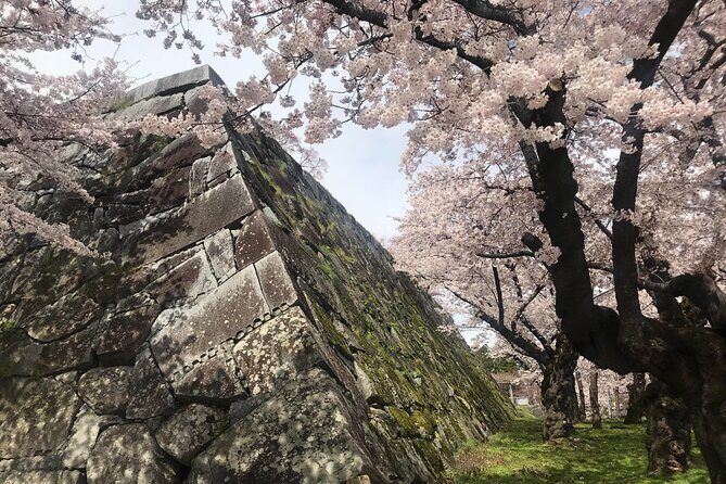 Morioka Town Half Day Walking Shared Tour with Wanko -Soba - Exploring Morioka in Depth: What to Expect