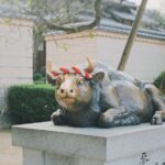 Morning Purification Ritual at Dazaifu Tenmangu by Train Tour - The Itinerary: What to Expect from Dawn to Departure