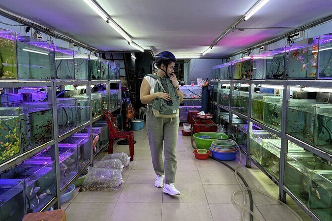 Motorbike Tour Saigon Hidden Gems and Food Tasting - The Sum Up