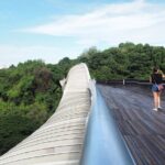 Mount Faber, Henderson Waves and Southern Ridges Tour - Who Will Love This Tour?