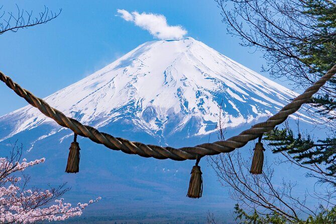 Mount Fuji and Gotemba Outlets Adventure Day Tour - The Itinerary in Detail: What to Expect