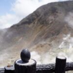 Mount Fuji and Hakone Day Trip with Ropeway Ride - Who Will Love This Tour?