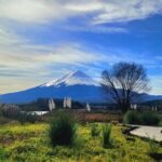 Mount fuji and Hakone Full day private sightseeing tour - Value and Practical Tips