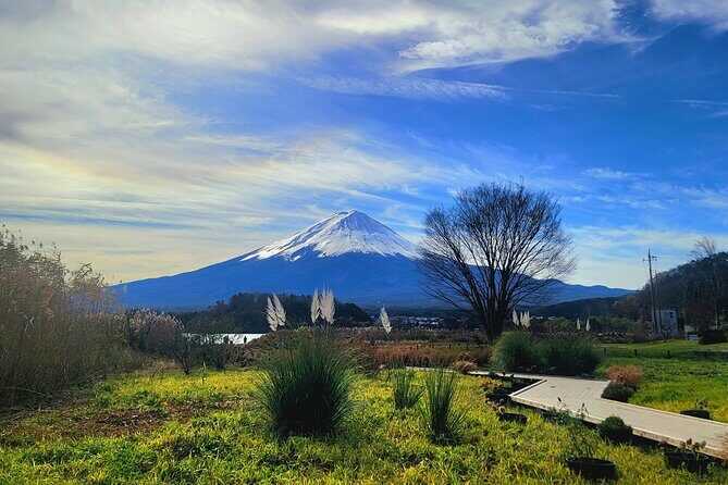 Mount fuji and Hakone Full day private sightseeing tour - Value and Practical Tips
