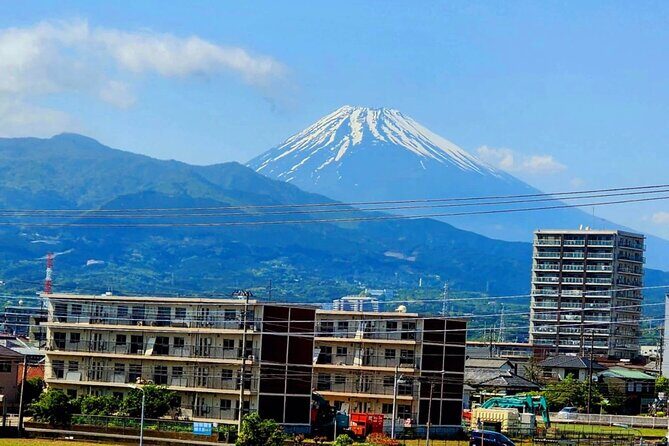 Mount Fuji and Hakone Private Tour with English Speaking Guide - The Practical Side: What to Expect