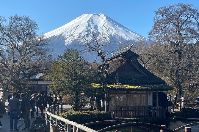 Mount Fuji Full Day Customize Private Tour with English Guide