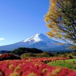 Mount Fuji Full Day Customized Private Tour with English Guide - Detailed Review of the Tour Experience
