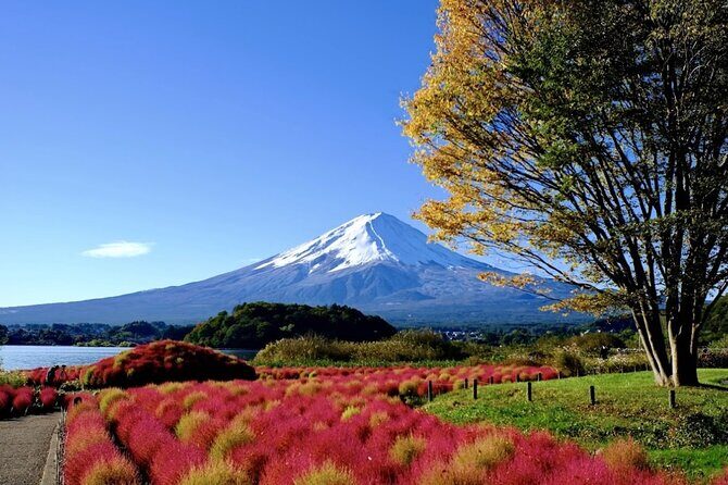 Mount Fuji Full Day Customized Private Tour with English Guide - Detailed Review of the Tour Experience