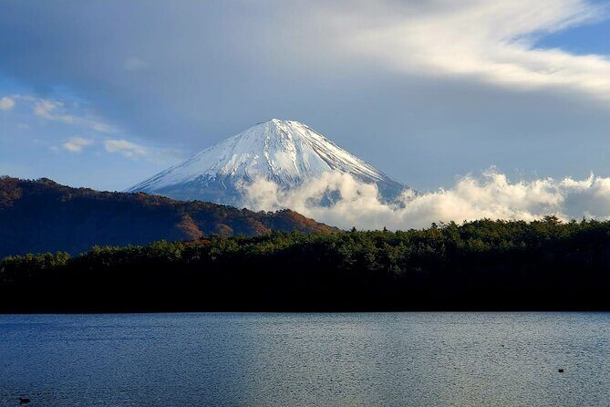 Mount Fuji Full-Day Private Tour from Yokohama Port Customizable - Exploring the Mount Fuji Private Tour: A Detailed Look