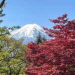 Mount Fuji & Lake Kawaguchi Day Trip with English-speaking Driver - FAQs