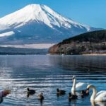 Mount Fuji Lake Yamanaka Discovery Private Tour - FAQ