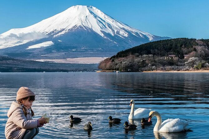 Mount Fuji Lake Yamanaka Discovery Private Tour - FAQ