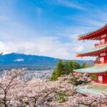 Mount Fuji, Oshino Hakkai and Park Sightseeing Day Tour - Authentic Experiences and Honest Opinions