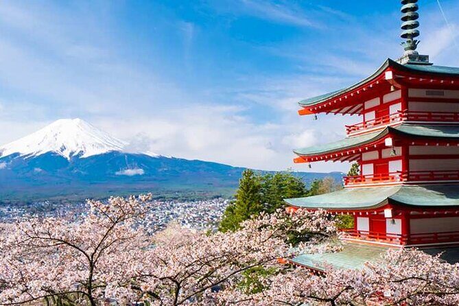 Mount Fuji, Oshino Hakkai and Park Sightseeing Day Tour - Authentic Experiences and Honest Opinions