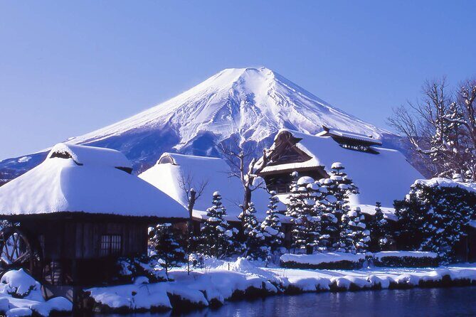 Mount Fuji Panoramic Day Trip from Tokyo - What Travelers Say