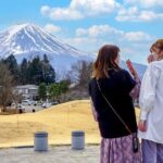 Mount Fuji Panoramic View and Shopping Day Tour - Exploring the Details: What You Can Expect