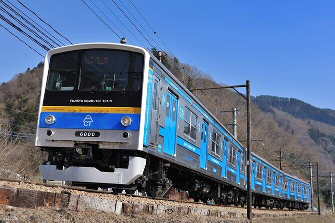 Mount Fuji Passes (optional) - The Sum Up: Is the Mount Fuji Pass Worth It?