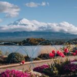 Mount Fuji Popular Sightseeing Tour - Final Thoughts: Is It Worth It?
