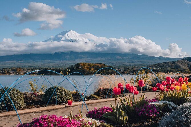 Mount Fuji Popular Sightseeing Tour - Final Thoughts: Is It Worth It?