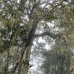 Mount Rinjani Second Summit 2 Days 1 Night - What’s Included and What to Expect