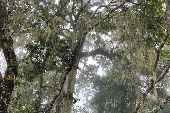 Mount Rinjani Second Summit 2 Days 1 Night - What’s Included and What to Expect