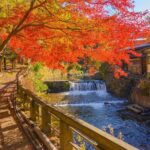 Mt. Aso Crater, Kusasenri and Kurokawa Onsen Tour from Fukuoka - The Practicalities: What to Expect