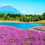 Mt. Fuji 5th, Oshino Hakkai, Onsen Full-Day Trip From Tokyo - Frequently Asked Questions (FAQs)