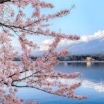 Mt. Fuji 5th Station Arakurayama Sengen Park, Oshino Hakkai Tour - Who Will Love This Tour?