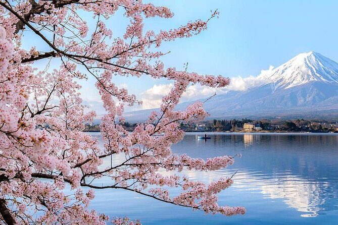 Mt. Fuji 5th Station Arakurayama Sengen Park, Oshino Hakkai Tour - Who Will Love This Tour?