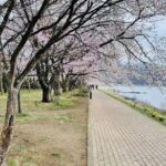 Mt Fuji 5th Station, Oshino Hakkai, Kawaguchiko Matcha Experience - Analyzing the Value