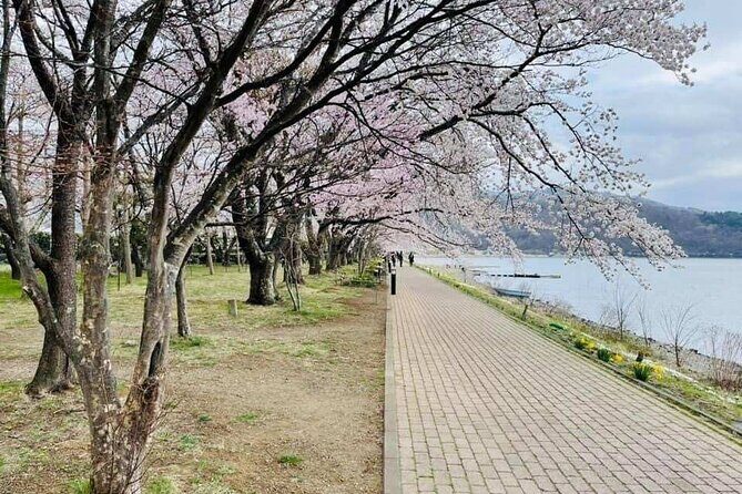 Mt Fuji 5th Station, Oshino Hakkai, Kawaguchiko Matcha Experience - Analyzing the Value