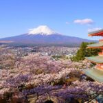 Mt. Fuji and Gotemba Outlet Private Day Trip From Tokyo - What the Tour Means for You