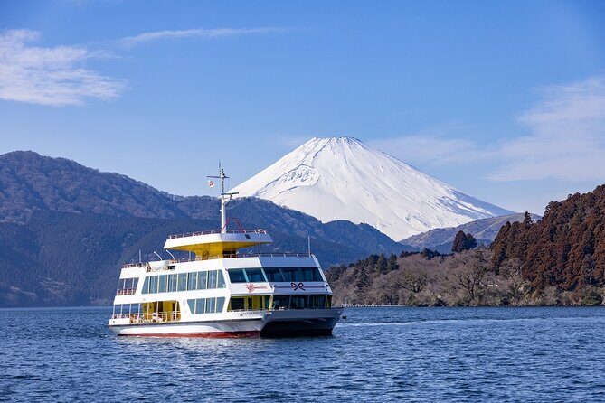 Mt Fuji and Hakone 1 Day Tour from Tokyo with Indian Thali Lunch - Practical Details & What to Expect