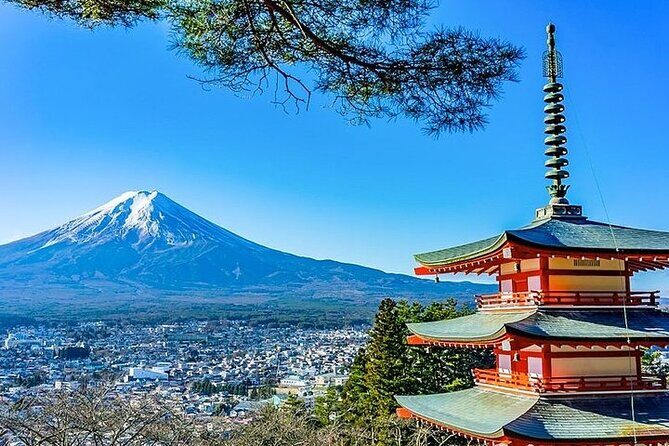 Mt. Fuji and Hakone Area Tour from Tokyo with Guide & Vehicle - Who Should Consider This Tour?