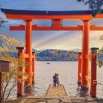 Mt. Fuji and Hakone Cultural Tour with Licensed Guide - Analyzing the Value