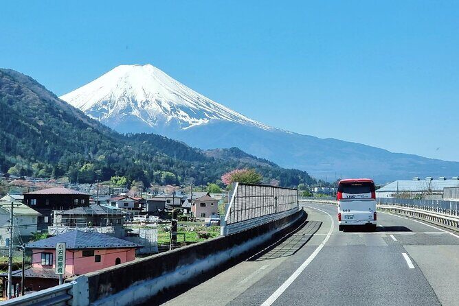 Mt. Fuji and Hakone Day Tour from Tokyo with Indian Lunch - Practical Tips for Travelers