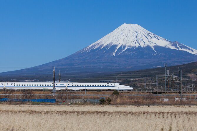Mt. Fuji and Hakone Day Trip From Tokyo with Bullet Train Option - The Itinerary in Detail