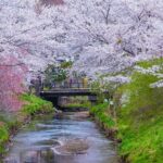 Mt Fuji and Hakone Day Trip from Tokyo with Ropeway Experience - An In-Depth Look at the Tour Experience