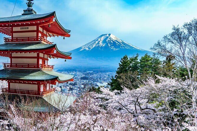 Mt Fuji and Hakone Private tour in Luxury Vehicle with Pro guide - Who Should Choose This Tour?