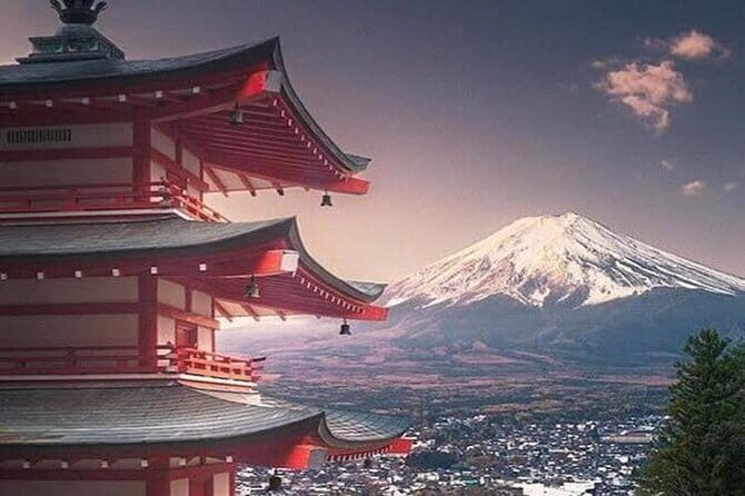 Mt. Fuji and Hakone Private Tour with English Speaking Driver - Who Should Consider This Tour?