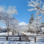 Mt. Fuji and Hakone Private Tour with English Speaking Driver - FAQs