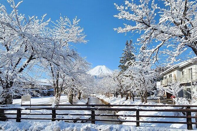 Mt. Fuji and Hakone Private Tour with English Speaking Driver - FAQs