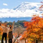 Mt. Fuji and Hakone Tour from Tokyo by Car with Local Guide - Customization Options: Making the Tour Truly Yours