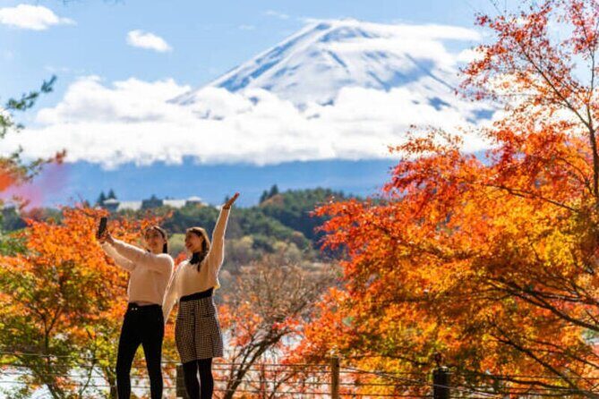 Mt. Fuji and Hakone Tour from Tokyo by Car with Local Guide - Customization Options: Making the Tour Truly Yours
