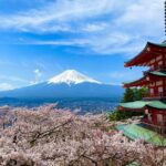 Mt. Fuji and Lake Kawaguchi Sakura Festival Sightseeing Tour - Why It’s a Good Value for the Price