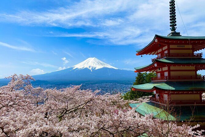 Mt. Fuji and Lake Kawaguchi Sakura Festival Sightseeing Tour - Why It’s a Good Value for the Price